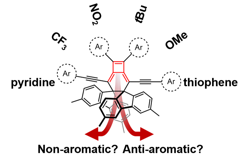 2024 Toc Ms - Butafulvene